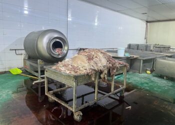 "Эм Ди Си Пи" компани "Махимпекс" ХК-ийн салбар үйлдвэр "ХКҮ" ХХК-ийн нэрээр муудсан мах экспорлох төлөвлөгөөтэй байх магадлалтай