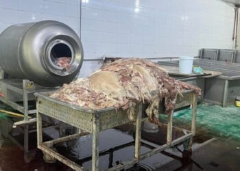 Засгийн газрын хуралдаанаар мах боловсруулах үйлдвэрүүдэд хяналт, шалгалт хийх талаар хэлэлцэж байна