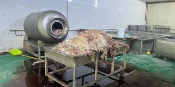 Засгийн газрын хуралдаанаар мах боловсруулах үйлдвэрүүдэд хяналт, шалгалт хийх талаар хэлэлцэж байна