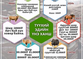 Ноолуурын ханш 80-95 мянган төгрөг байна