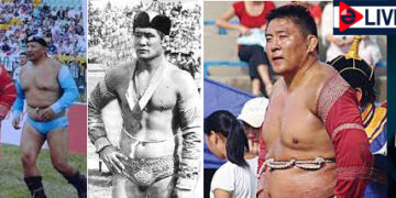 Нийт 64 бөхөд  цолыг нь нөхөн олгоно