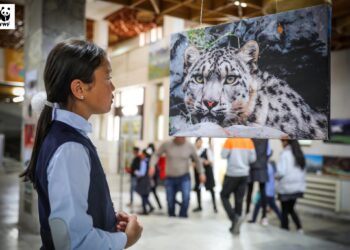 Баян-Өлгий аймагт "Алтайн түмэн гайхамшиг" гэрэл зургийн үзэсгэлэн нээлтээ хийлээ.