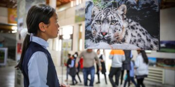 Баян-Өлгий аймагт "Алтайн түмэн гайхамшиг" гэрэл зургийн үзэсгэлэн нээлтээ хийлээ.