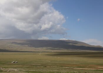 Нийт нутгийн бэлчээрийн ургамлын ургалтын мэдээлэл хүргэж байна