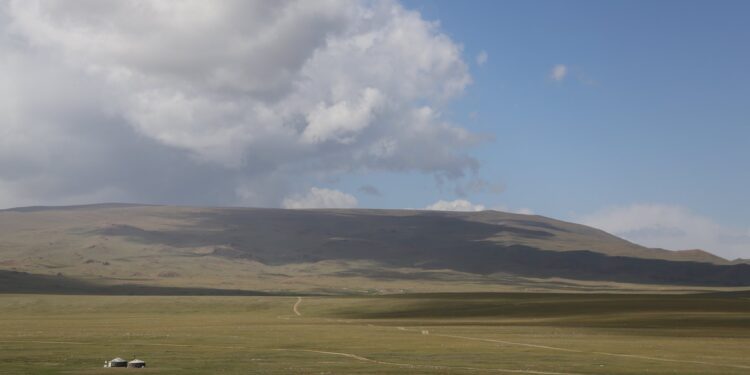 Нийт нутгийн бэлчээрийн ургамлын ургалтын мэдээлэл хүргэж байна