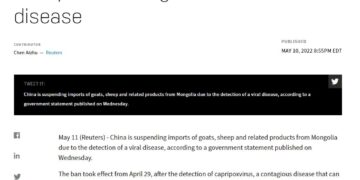 БНХАУ Монголоос хонь, ямаа импортлохоо түр хугацаагаар зогсоолоо