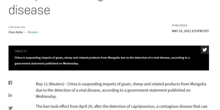 БНХАУ Монголоос хонь, ямаа импортлохоо түр хугацаагаар зогсоолоо