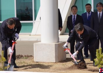 "Чингис хаан" ОУ-ын нисэх буудалд мод тарилаа