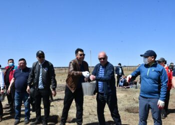 Эрүүл мэндийн яам болон харьяа байгууллагуудын төлөөлөлүүд мод тарьлаа