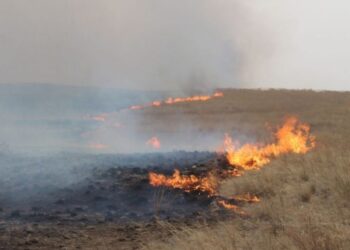 Дорнод аймгийн Баяндун суманд гарсан хээрийн түймрийг бүрэн унтраажээ