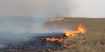 Дорнод аймгийн Баяндун суманд гарсан хээрийн түймрийг бүрэн унтраажээ