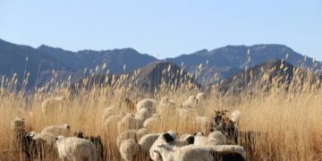 Эх орны хөрсөнд ургасан эрүүл хүнс хэрэглэх сайн цаг эндээс эхэлнэ