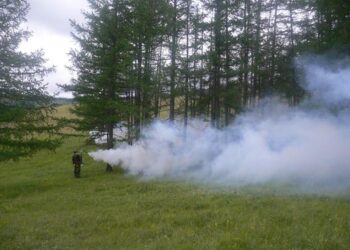 16 аймгийн 109 сумын нутаг дэвсгэрт 732.7 га талбай хөнөөлт шавжид нэрвэгджээ