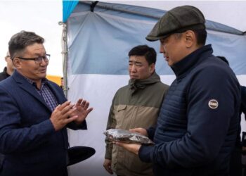 Хэнтий аймаг 700 га талбайг усалгааны системтэй болгох төсөл хэрэгжүүлнэ