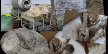 “Бодис”-той махны хэргээр Х.Баттуулыг байцааж эхэлжээ