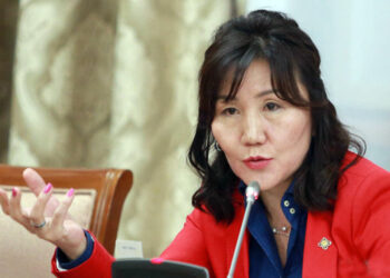 М.Оюунчимэг: Эм, тарианы чанар муу учраас УИХ-ын гишүүд ажлын хэсэгт ормоор байна