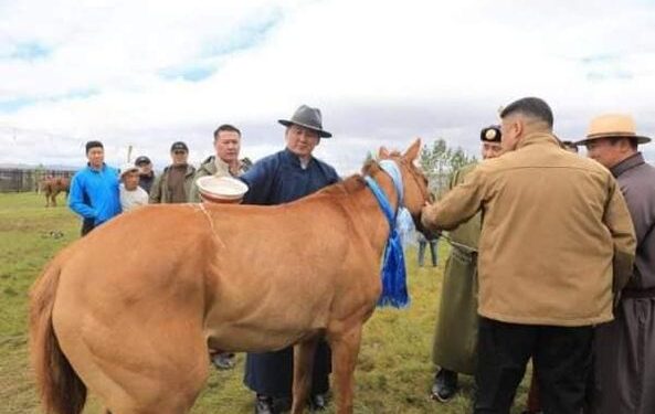 У.Хүрэлсүх: Монгол наадамд монгол морь л уралдах ёстой