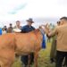 У.Хүрэлсүх: Монгол наадамд монгол морь л уралдах ёстой