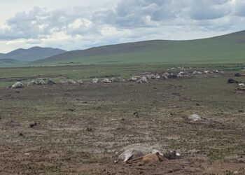 Архангай аймгийн Эрдэнэмандал суманд байгалийн аюултай үзэгдэл болжээ