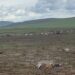 Архангай аймгийн Эрдэнэмандал суманд байгалийн аюултай үзэгдэл болжээ