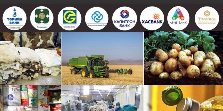 ХХААХҮ-ийн яамнаас  2022 онд хэрэгжүүлж буй хөнгөлөлттэй зээлийн мэдээлэл