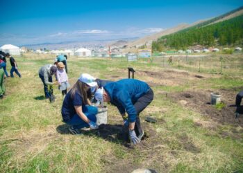 “Тэрбум мод”: Хөдөлгөөний хүрээнд 2.5 сая мод тариад байна