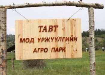 Улсын хилийн дагуу ойн зурвас байгуулна