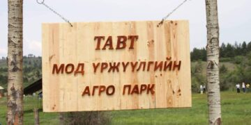 Улсын хилийн дагуу ойн зурвас байгуулна