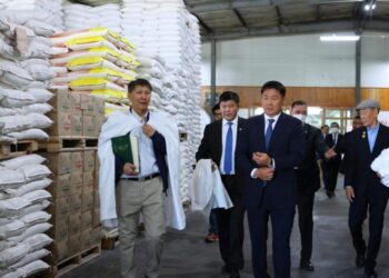 Гурил үйлдвэрлэгч аж ахуйн нэгжүүд дотоодын зах зээлээ хамгаалах бодлого хэрэгжүүлэхийг хүсэж байна