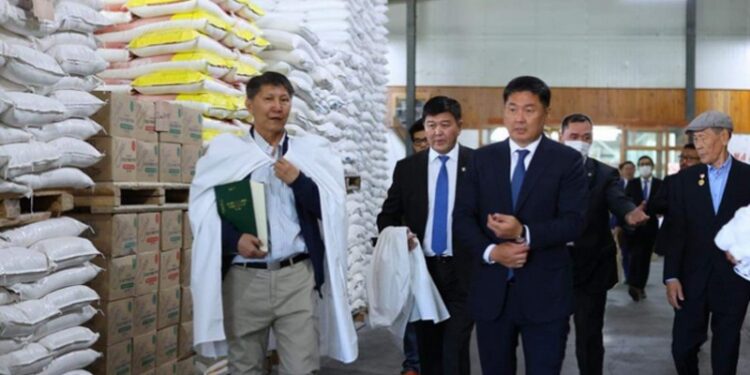 Гурил үйлдвэрлэгч аж ахуйн нэгжүүд дотоодын зах зээлээ хамгаалах бодлого хэрэгжүүлэхийг хүсэж байна