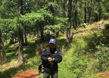 Богдхан ууланд аялаж зугаалахгүй байхыг анхааруулж байна!