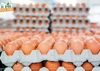 З.Мэндсайхан: Зорчигчийн нэр дээр бүрдүүлэлт хийж чөлөөт бүсээр нэвтрүүлж байгаа өндөгний нийлүүлэлтийг хязгаарлалаа