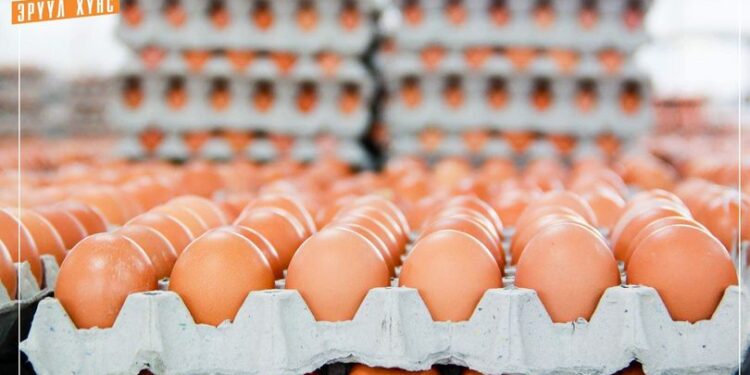 З.Мэндсайхан: Зорчигчийн нэр дээр бүрдүүлэлт хийж чөлөөт бүсээр нэвтрүүлж байгаа өндөгний нийлүүлэлтийг хязгаарлалаа