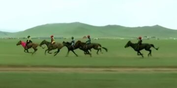 Энэ жилийн магнай хүлгүүд