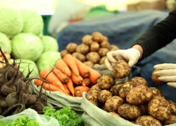 Хүнсний хувьсгал ба үнийн өсөлтөөс хамгаалсан бодит дэмжлэг