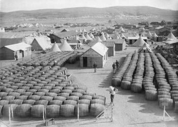 Галлиполийн тулааны өмнөх Францын армийн дарсны нөөц