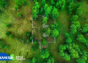 Гол мод – 2 дурсгалт газар