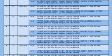 ​Дуудлага худалдаагаар худалдах улсын дугааруудыг зарлалаа