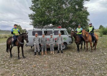 Баярын амралтаар 56 иргэнийг авран хамгаалав