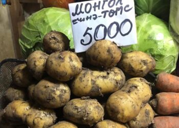 Төмсний учир олдоно, түлшний үйлдвэрээ яаравчилъя