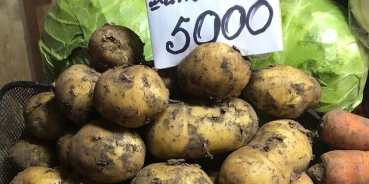 Төмсний учир олдоно, түлшний үйлдвэрээ яаравчилъя