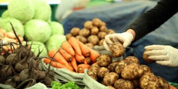 Нийслэлд Сэлэнгэ аймгийн эрт ургацын төмс нийлүүлэгдэж, борлуулалтад гарсан тул үнэ буурна