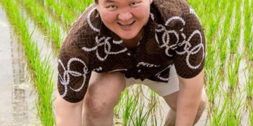 Ёкозүна Хакүхо М.Даваажаргал цагаан будаагаа тариалж байна