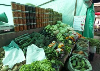 Нийслэлийн 17 байршилд шинэ ногооны худалдаа гарчээ