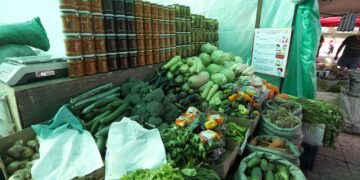 Нийслэлийн 17 байршилд шинэ ногооны худалдаа гарчээ