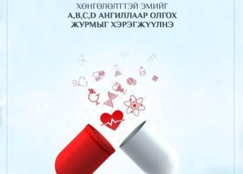 Хөнгөлөлттэй эмийн цахим жор бичих А, B, C, D ангиллын журмыг ирэх сараас хэрэгжүүлнэ