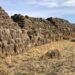 Боодол өвс 7500-10000 төгрөгийн хооронд байна