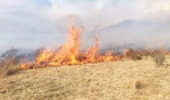 Завхан аймагт одоогийн байдлаар 7600 гаруй га талбай шатаад байна
