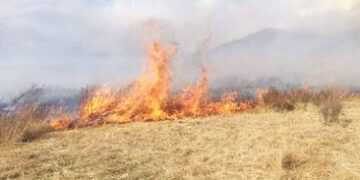 Завхан аймагт одоогийн байдлаар 7600 гаруй га талбай шатаад байна