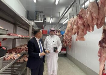 Кувейт улсын хоёр компани Монголоос хонины мах худалдан авах хүсэлтээ илэрхийлжээ